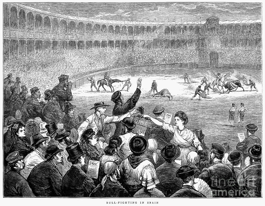 Bull Photograph - Spain: Bullfight, 1875 by Granger