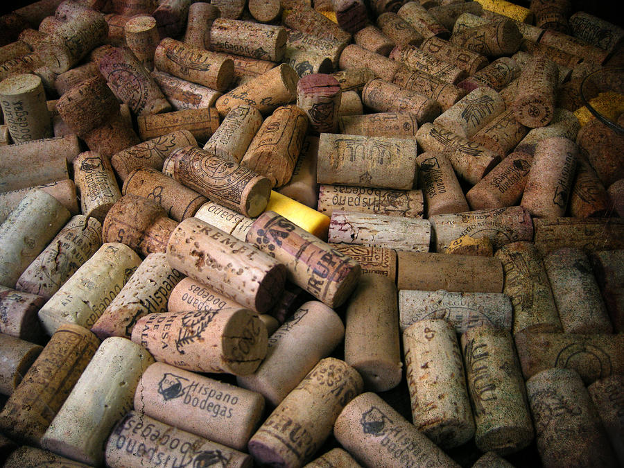 Spanish Corks Photograph by Perry Van Munster