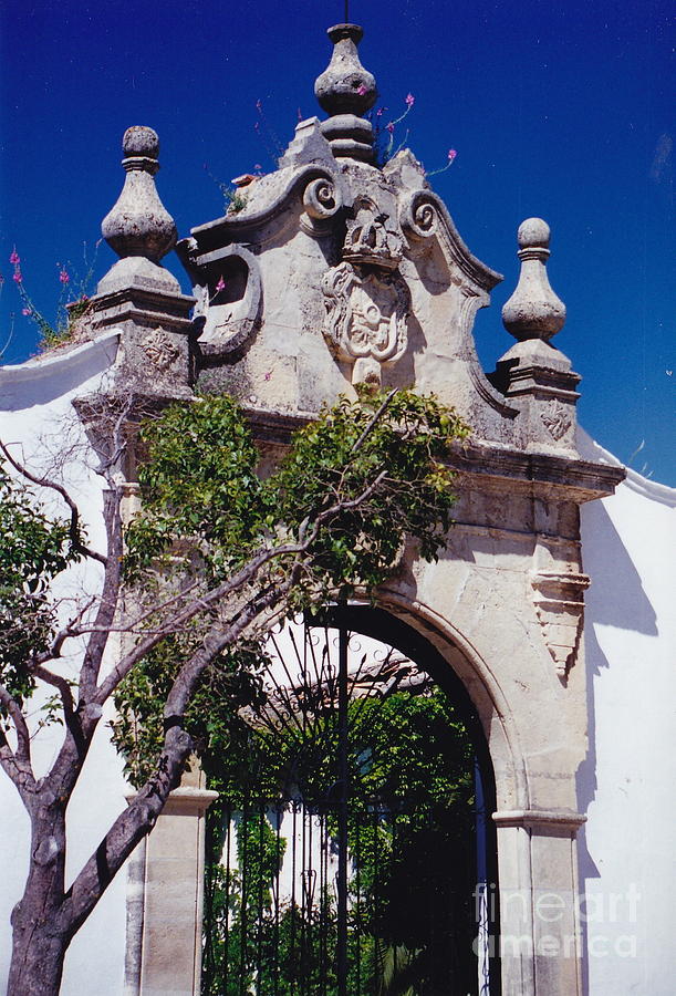 Spanish Gate Photograph by Barbara Plattenburg