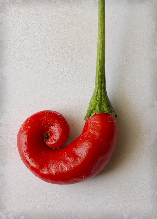 Spanish hot pepper Photograph by Perry Van Munster