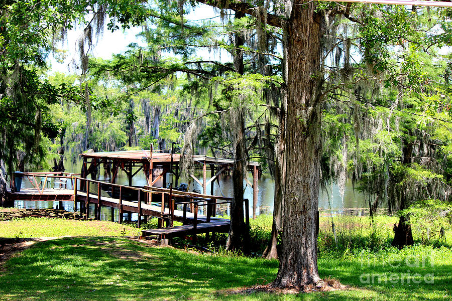 Landscape Photograph - Spanish Moss Overlooking The Dock by Kathy  White