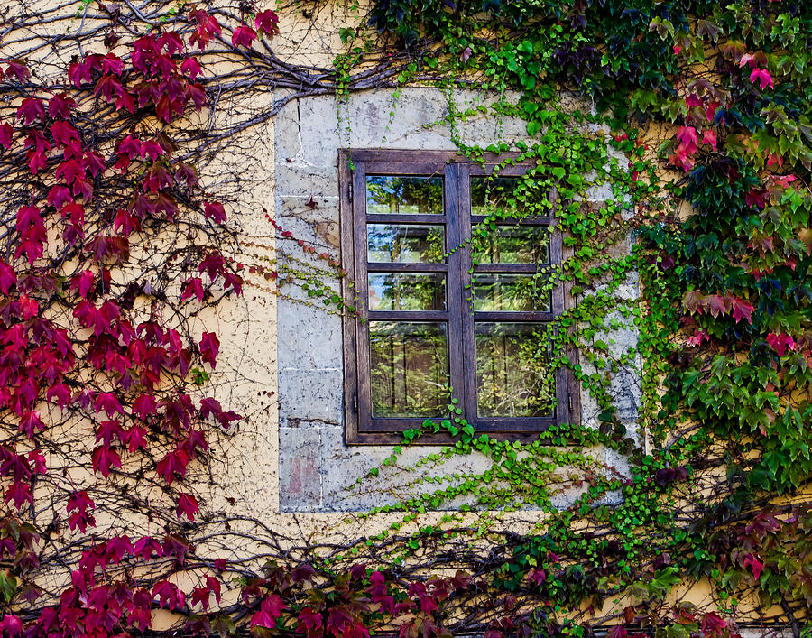 Spanish Window Photograph by Don Schwartz