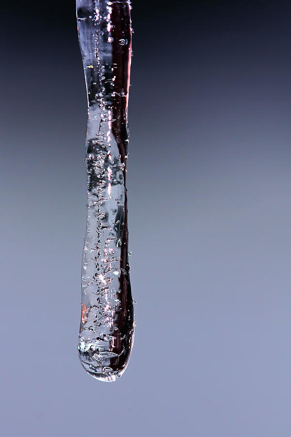 Sparkling Icicle - Frozen Water Drop Photograph by Tracie Schiebel