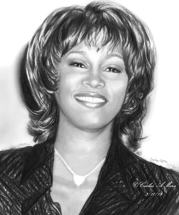 Sparkling Whitney Drawing by Carliss Mora Fine Art America