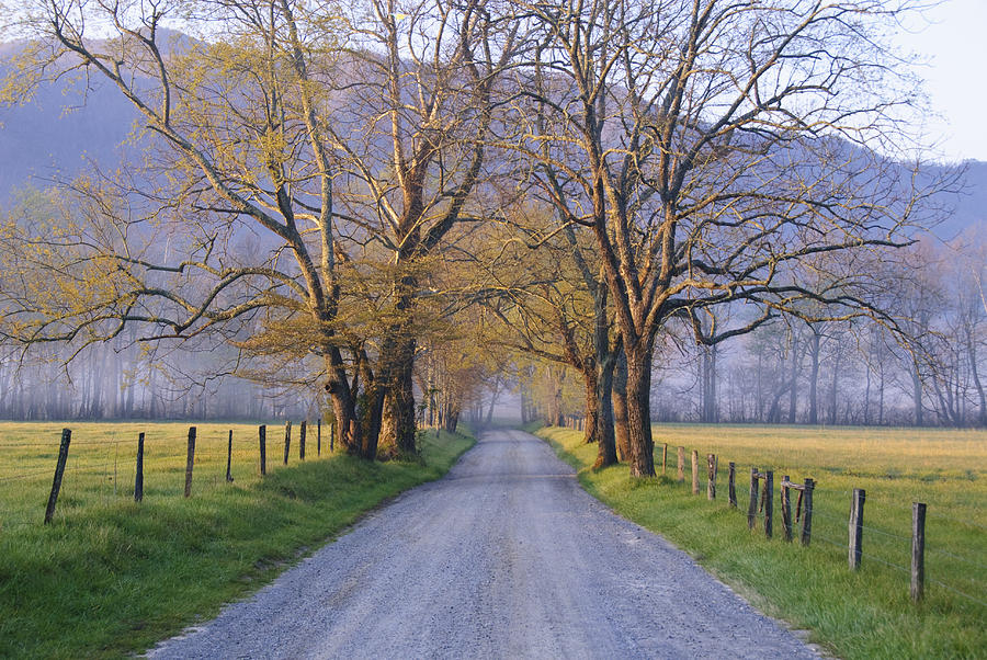 Sparks Lane, Cades Cove, Great Smoky Mountains National Park, Tennessee ...