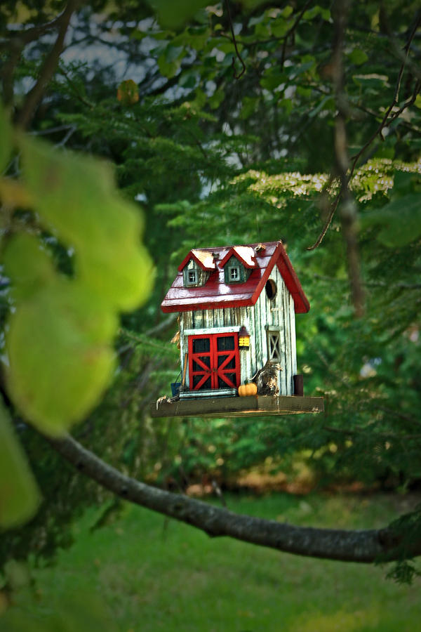 Sparrows Dream House Photograph by Cyryn Fyrcyd