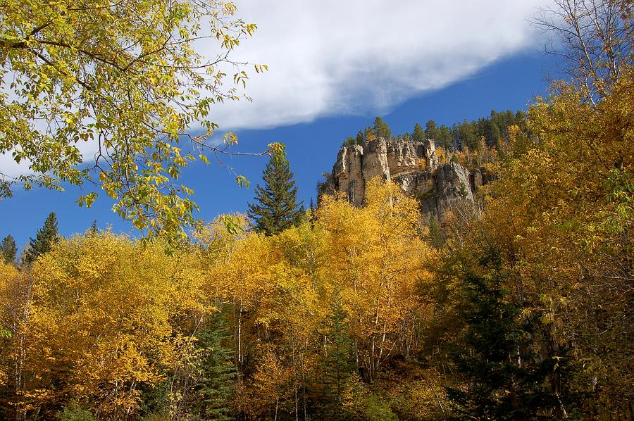 Spearfish Canyon Fortress in Rock Photograph by Greni Graph