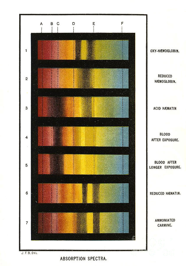 Spectra Chart, Blood Samples, 1894 Photograph by Science Source