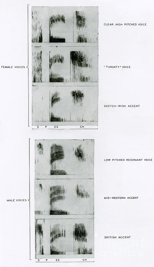 Spectrograms Of The Word Speech Photograph by Science Source