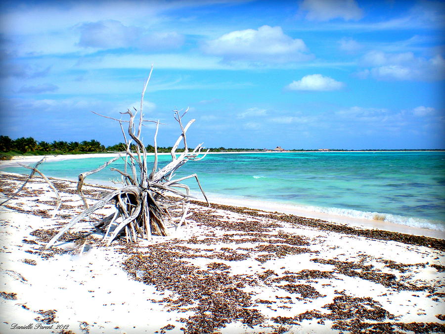 Speechless at the Beach Photograph by Danielle Parent - Pixels