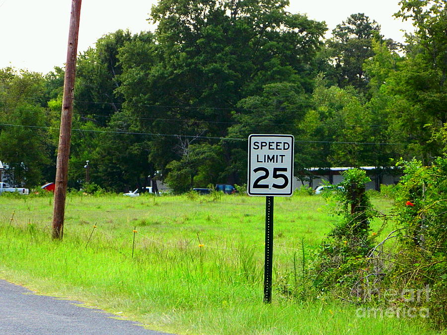 Speed Limit Photograph by Ester McGuire