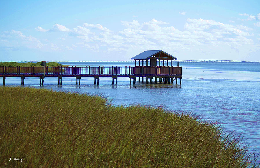 SPI Birding Center Boardwalk Photograph by Roena King