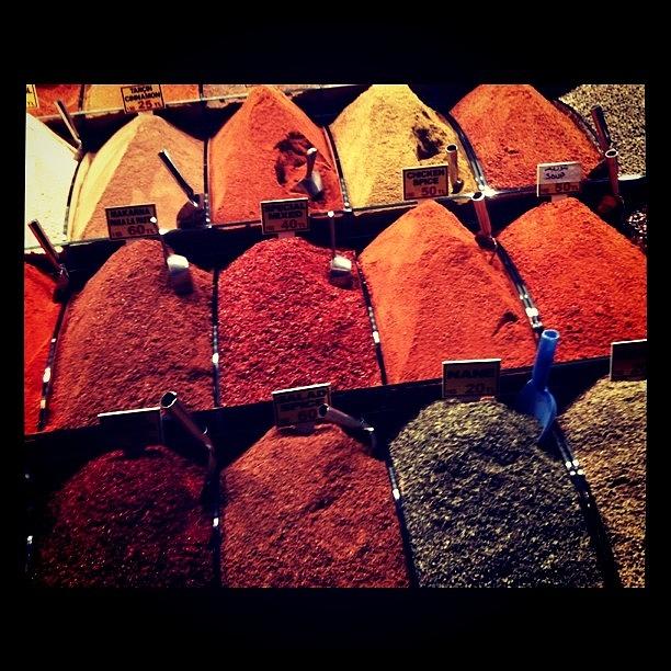 Spices Photograph - Spices by Isabel Poulin