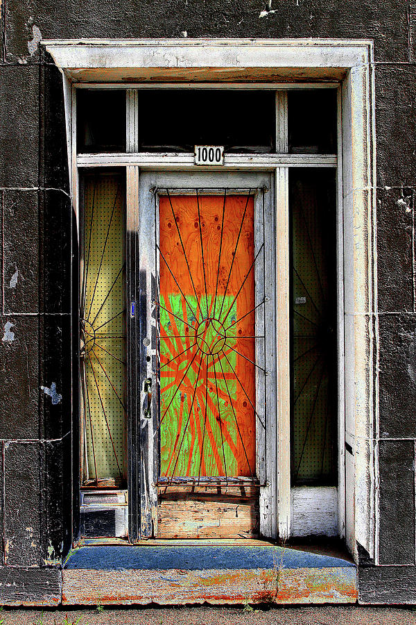 Spider Door Photograph by Burney Lieberman
