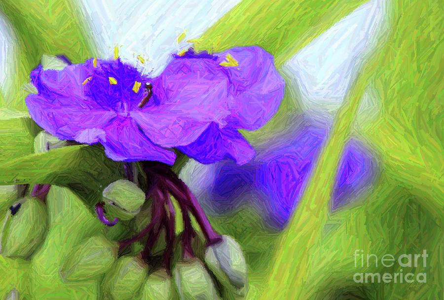 Spiderwort With Coloured Pencil Effect Photograph by Margaret Hamilton