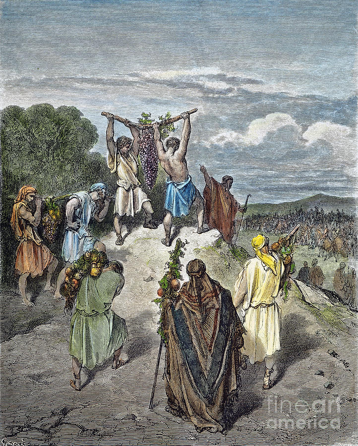 Spies Return From Canaan Drawing by Gustave Dore