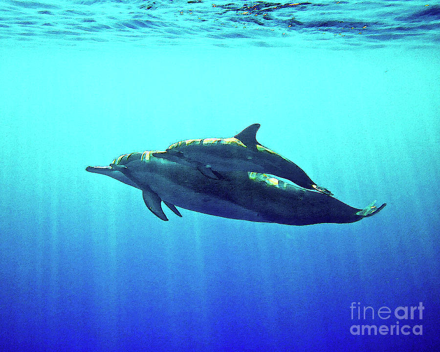 Spinner Dolphin With Baby by Bette Phelan