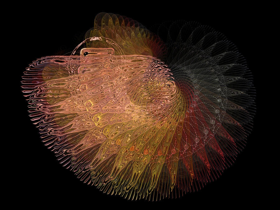 Spiral Crustacean Digital Art by Amanda Moore