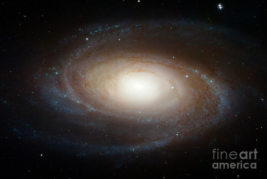 Spiral Galaxy M81 Photograph by Nasa