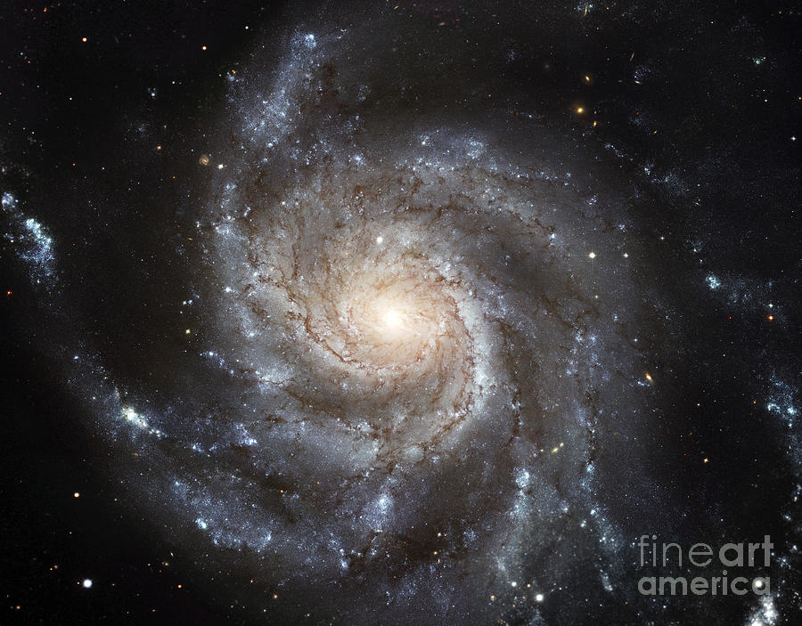Spiral Galaxy Messier 101 Photograph by Stocktrek Images