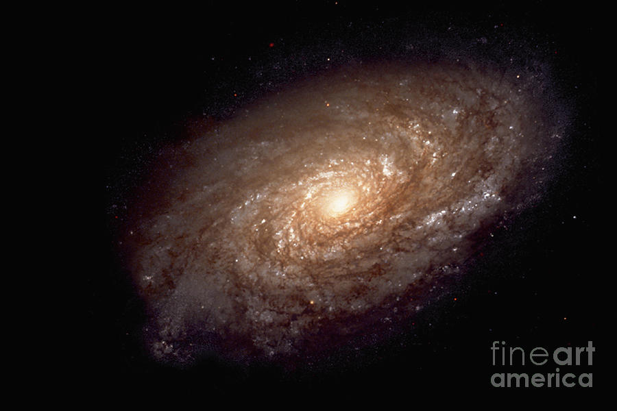 Spiral Galaxy Photograph by Nasa