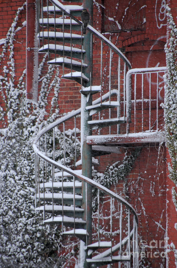 Spiral Staircase with Snow and Coopers Hawk Photograph by Ronald Grogan