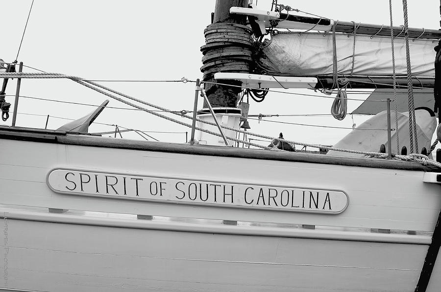 Spirit Of Carolina  Pyrography by Gib LaStrapes