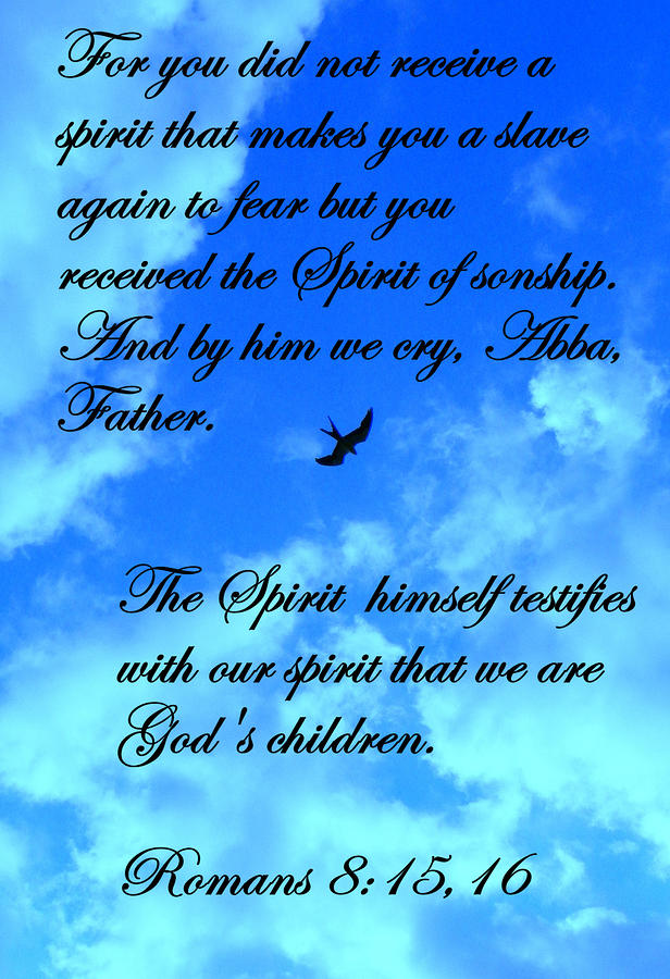 Spirit of Sonship Photograph by Sheri McLeroy