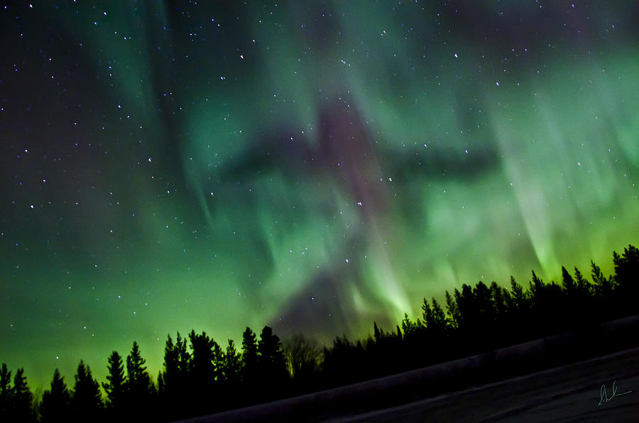 Auroras Photograph - Spirits of the Northern Nights by Steve  Milner