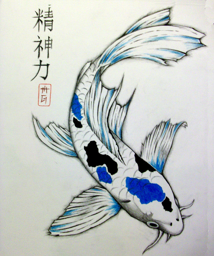 Spiritual Strength Koi Drawing by Matt Greganti