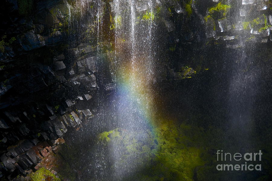 Mount Rainier National Park Photograph - Splash Pool by Sean Griffin