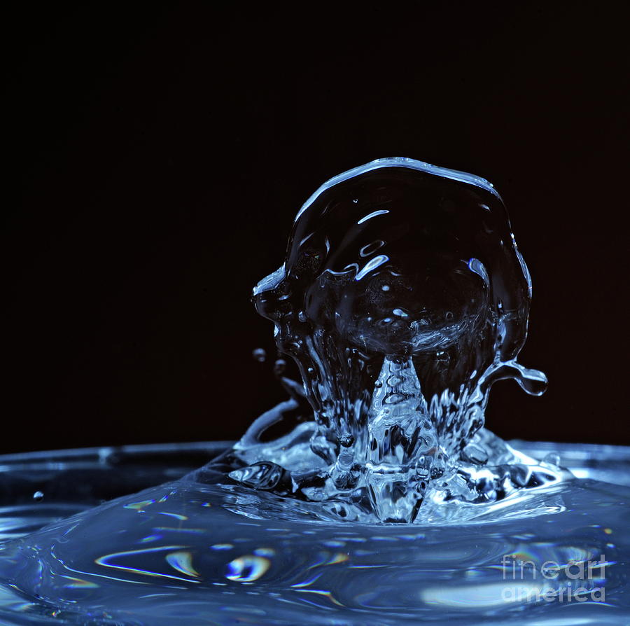 Splashing Water Droplet Shaping Human Profile Photograph by Sami Sarkis