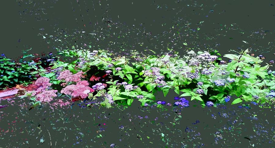 Flower Photograph - SplatterBloom by Laurie Behnen