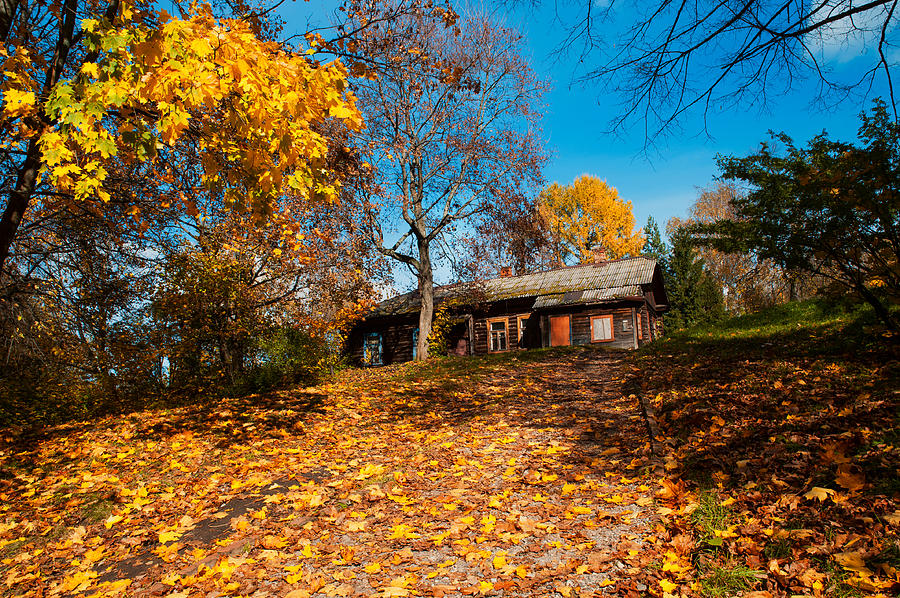Splendor of Autumn. Wooden House Photograph by Jenny Rainbow