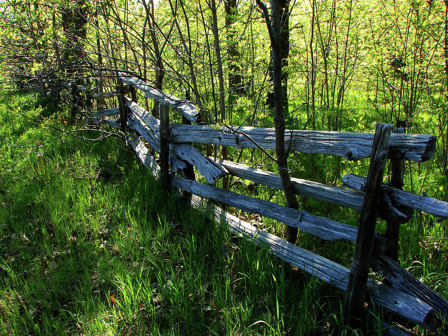 Split Mixed Media - Split Rail Cedar Fence by Bruce Ritchie