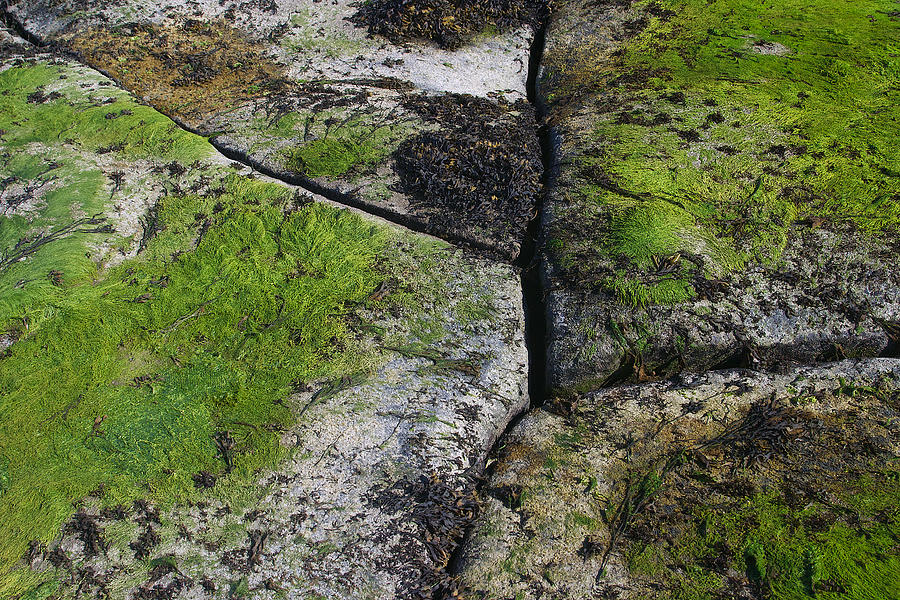 Split Rock Green Photograph by David Kleinsasser