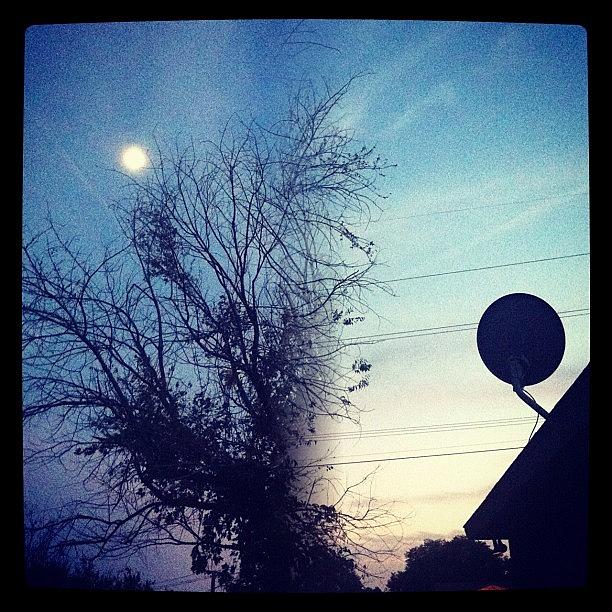 #splitcam Moon 🌙 Up High Sun ☀ Photograph by Samantha K
