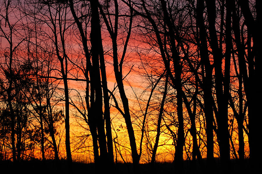 SPNC Sunset Photograph by LeeAnn McLaneGoetz McLaneGoetzStudioLLCcom