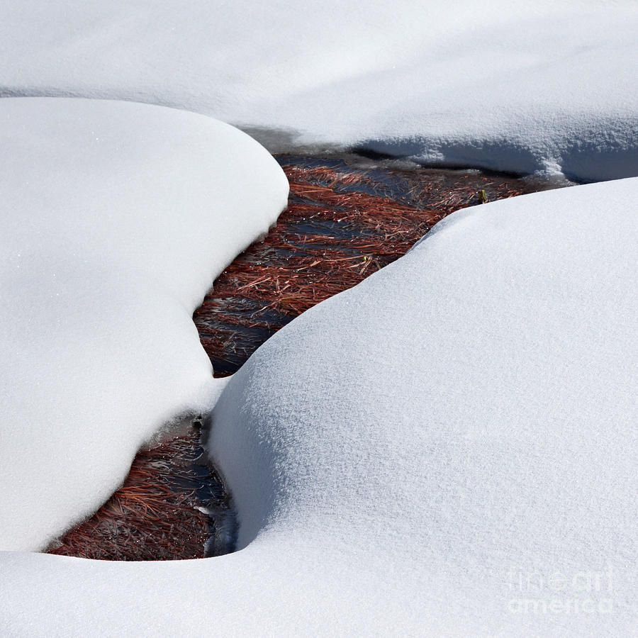 Spooner Meadow Melt Photograph by L J Oakes