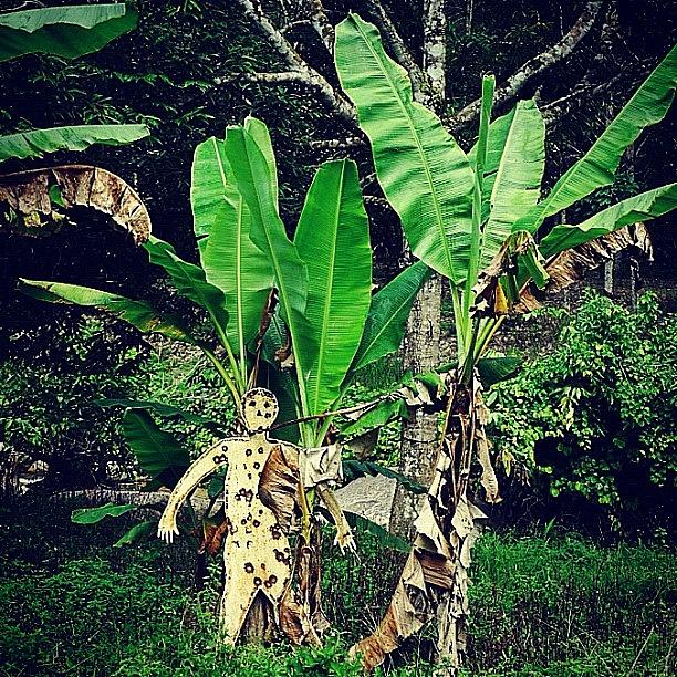 Jungle Photograph - Spot The 🎯 by Kokky Lawrence