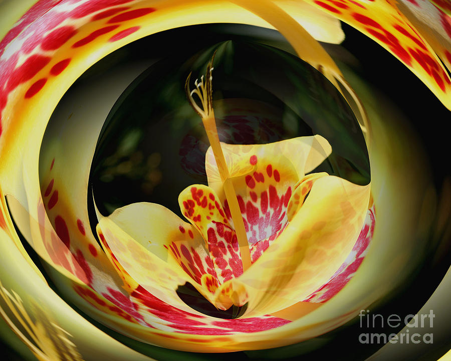 Spotted Lily Energies Digital Art by Smilin Eyes Treasures