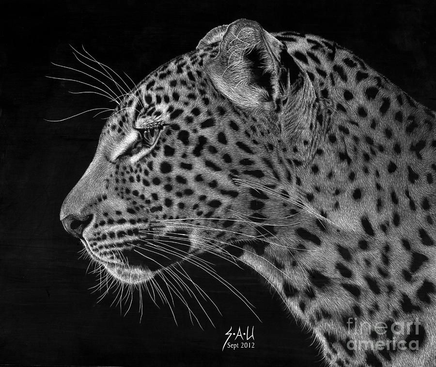 Spotted Solitude Drawing by Sheryl Unwin