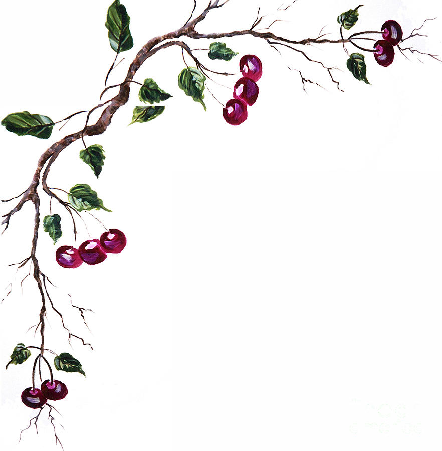 Spray of Cherries Painting by Pati Pelz