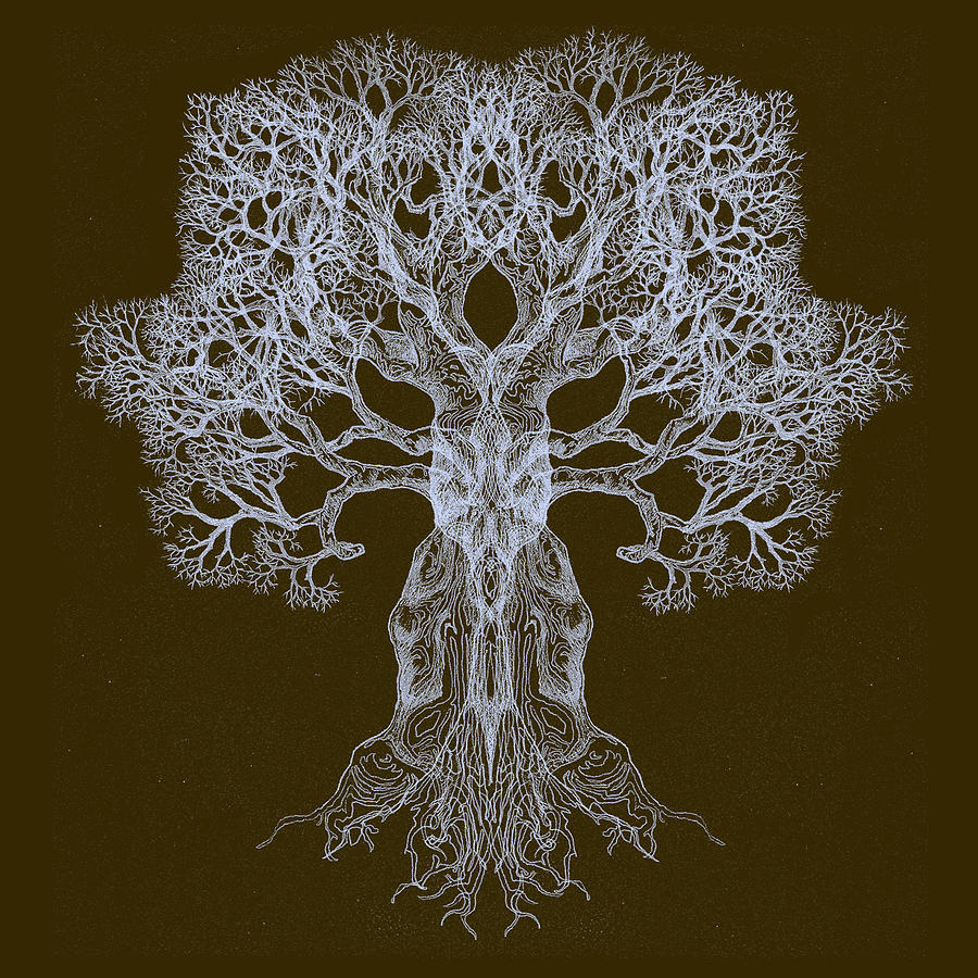 Spreading In Every Direction Tree 13 Hybrid 3 by Brian Kirchner