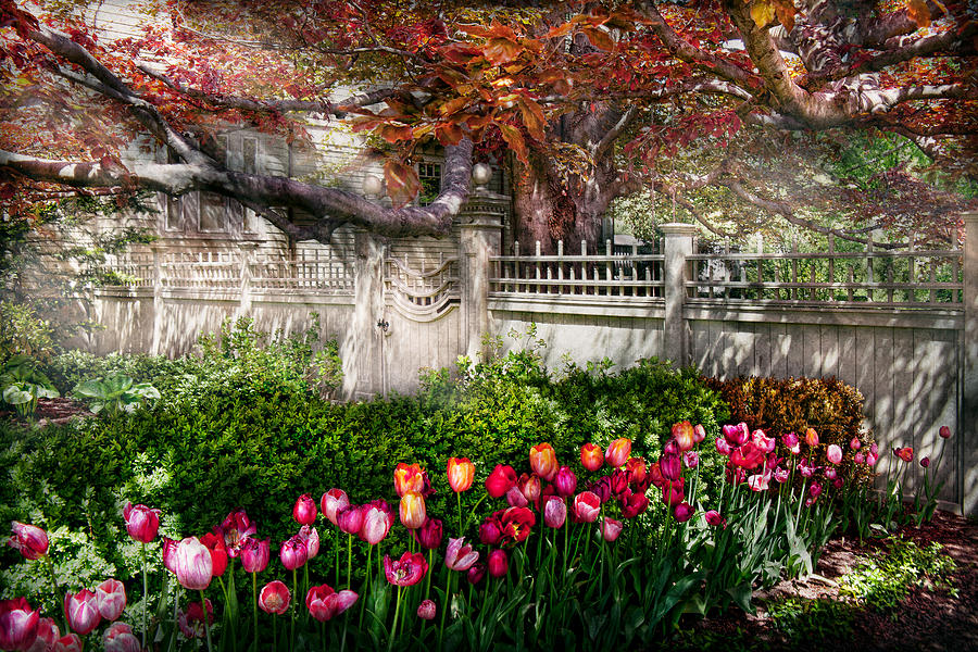 Spring - Gate - My Spring garden  Photograph by Mike Savad