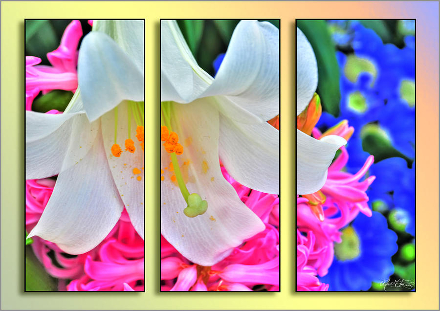 Spring Again Triptych Series Photograph by Michael Frank Jr