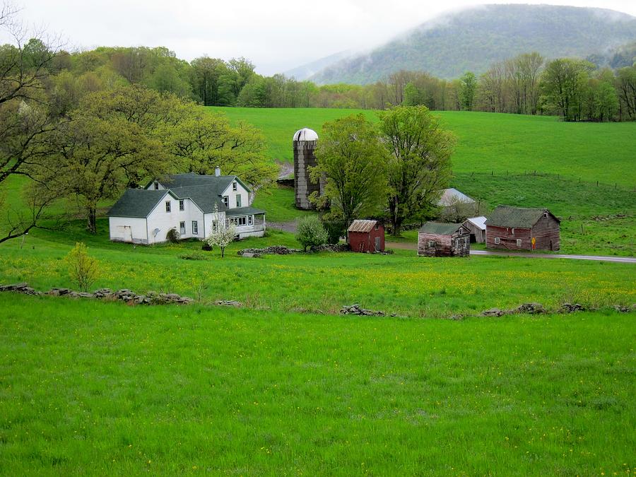 Spring at Mosemans Farm Photograph by Kathryn Barry