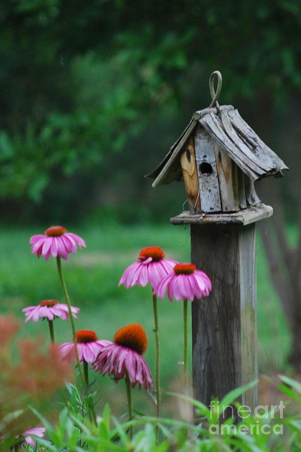 Spring Birdhouse Photograph by Lila Fisher-Wenzel