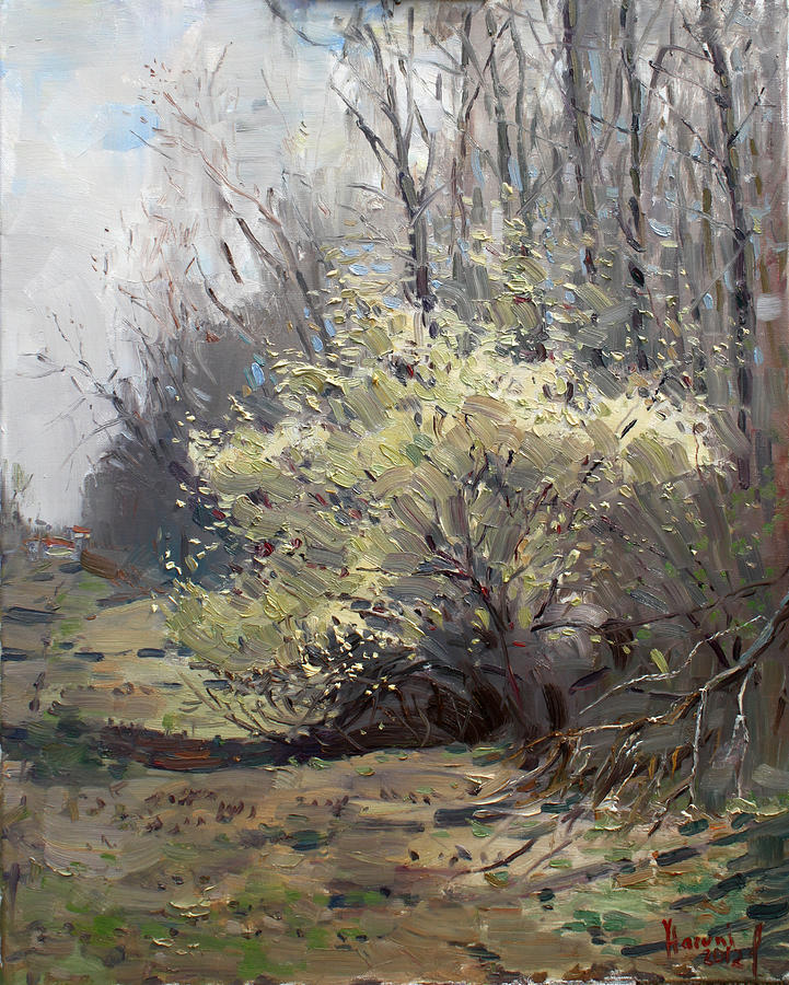 Tree Painting - Spring Blossom  by Ylli Haruni