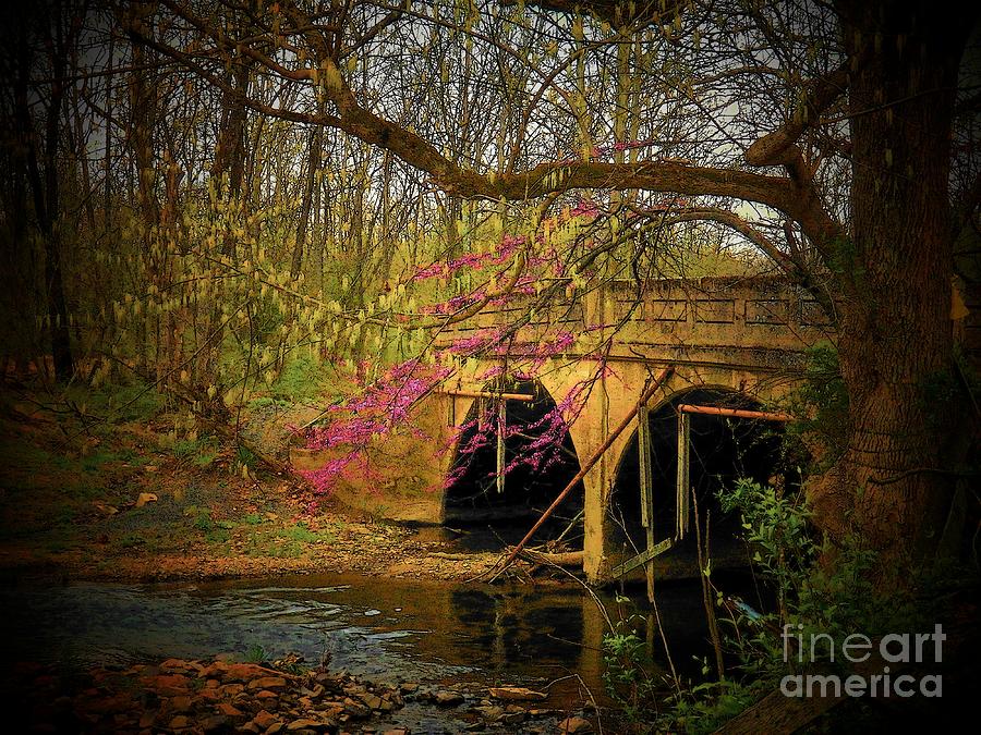 Spring Bridge Photograph by Joyce Kimble Smith